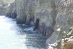 PICTURES/La Jolla Cove - Cormorants & Pelicans/t_P1000243.JPG